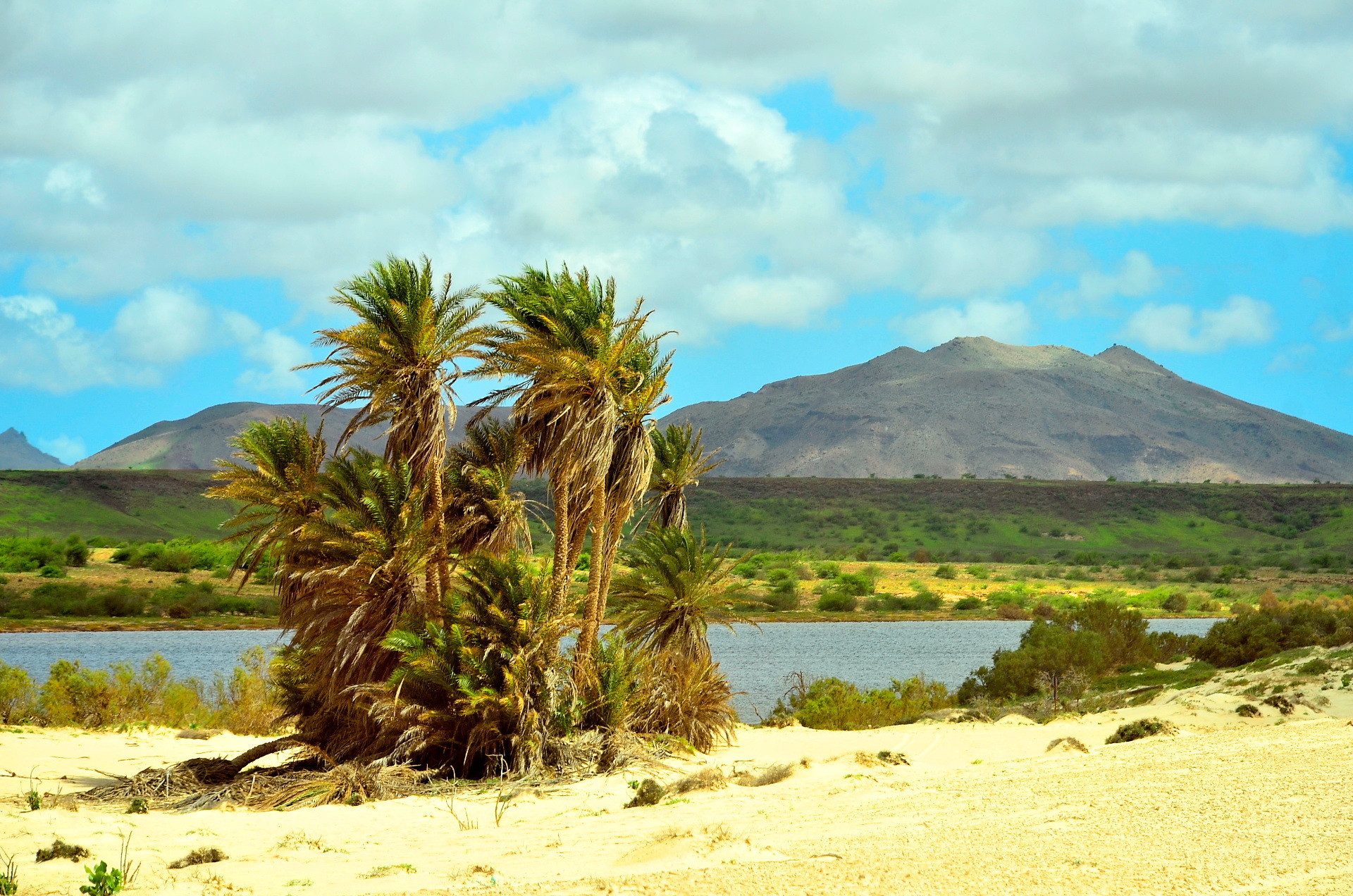 boavista tour