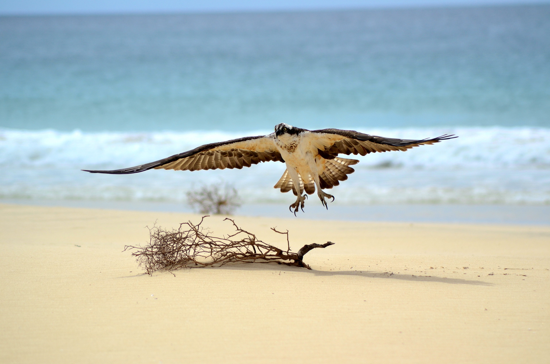 cape verde excursions