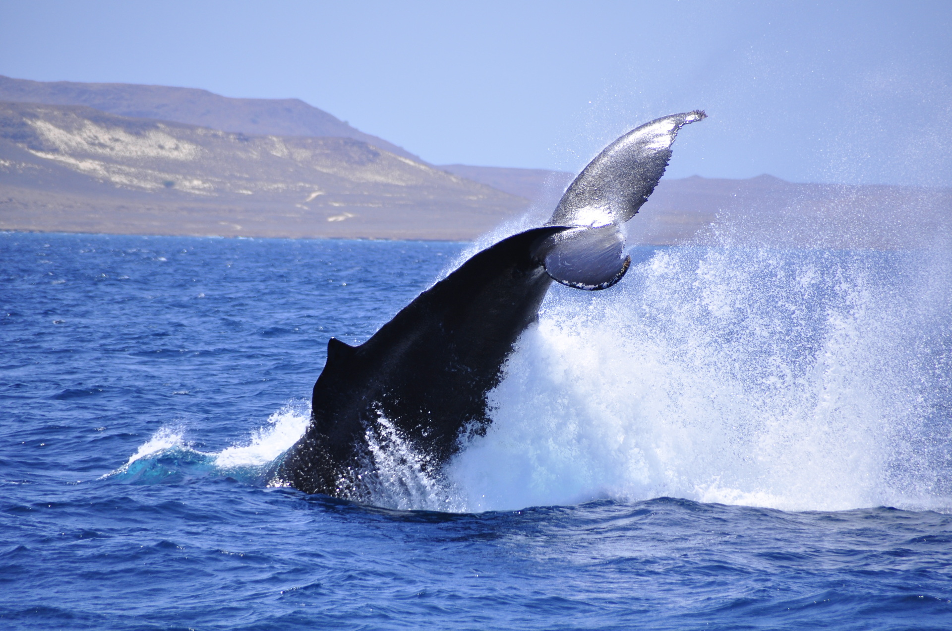 cape verde excursions